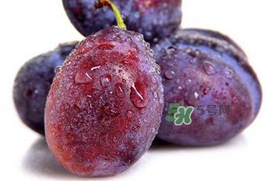 西梅可以泡酒嗎？西梅可以空腹吃嗎？