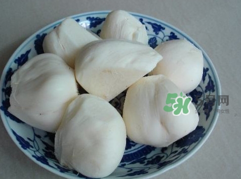 涼薯是什么東西？涼薯是地瓜嗎？