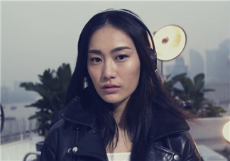 維多利亞的秘密2017有秦舒培嗎？秦舒培入選了嗎？