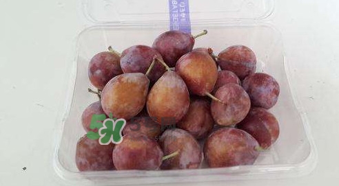 西梅什么時候上市？新疆西梅什么時候上市