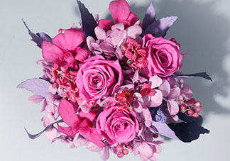 joyflower是哪國品牌？joyflower怎么樣？