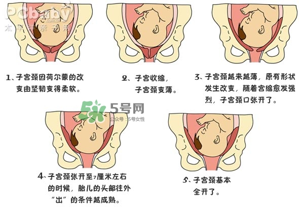 生孩子的過程是怎樣的？生孩子的真實(shí)過程