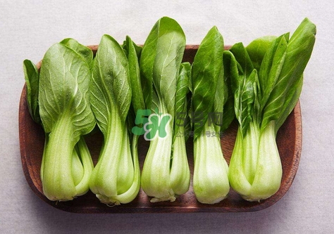 白菜不能和什么一起吃_白菜不可以和什么同吃 白菜不能和什么一起吃_白菜不可以和什么同吃