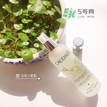 歐緹麗皇后水正確用法 歐緹麗皇后水使用步驟 歐緹麗皇后水正確用法 歐緹麗皇后水使用步驟