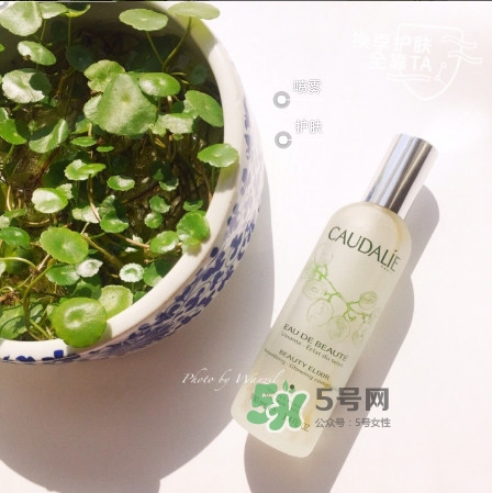 歐緹麗皇后水正確用法 歐緹麗皇后水使用步驟 歐緹麗皇后水正確用法 歐緹麗皇后水使用步驟