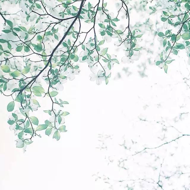 這世上，只有一種男人不會出軌