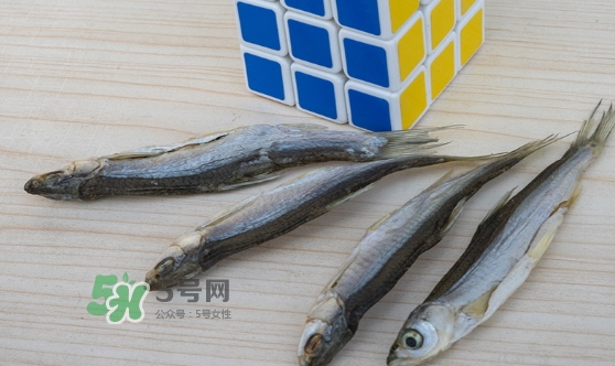 刁子魚是發(fā)物嗎？刁子魚是不是發(fā)物