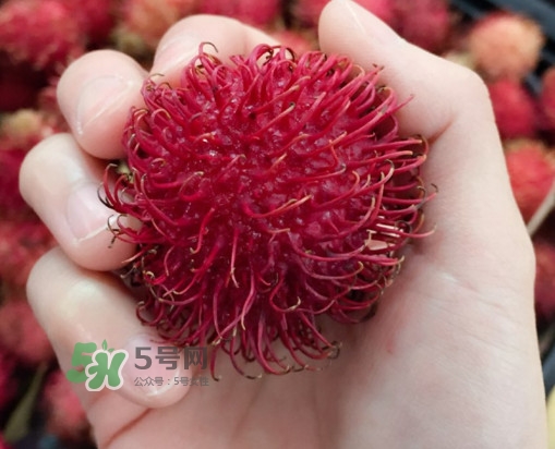 紅毛丹是什么水果？紅毛丹是熱性水果嗎？