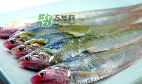 刁子魚是秋刀魚嗎？刁子魚是海魚嗎？