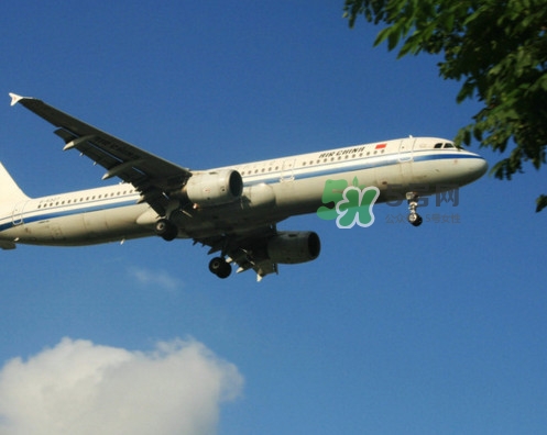 紅毛丹可以帶上飛機嗎？紅毛丹能帶上飛機嗎