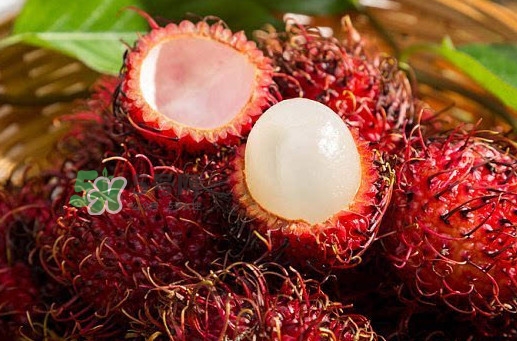 新鮮紅毛丹可以放多久？紅毛丹能放多久