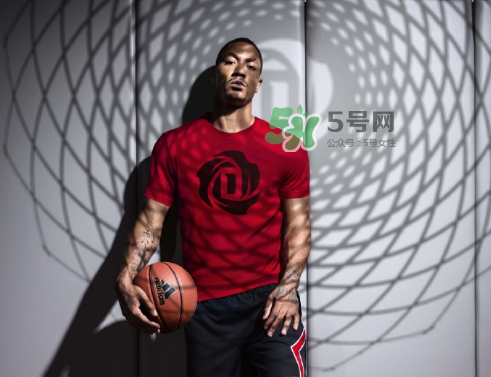 2017羅斯中國(guó)行是什么時(shí)候？2017羅斯中國(guó)行行程安排