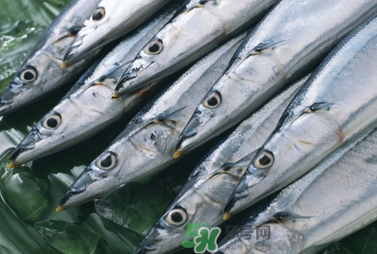 秋刀魚(yú)多少錢(qián)1斤 秋刀魚(yú)什么季節(jié)吃最好 秋刀魚(yú)多少錢(qián)1斤 秋刀魚(yú)什么季節(jié)吃最好