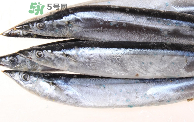 秋刀魚是海魚嗎？秋刀魚是淡水魚還是海魚