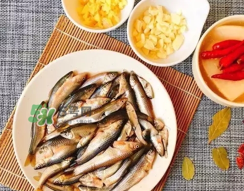 刁子魚多少錢一斤？刁子魚價格表