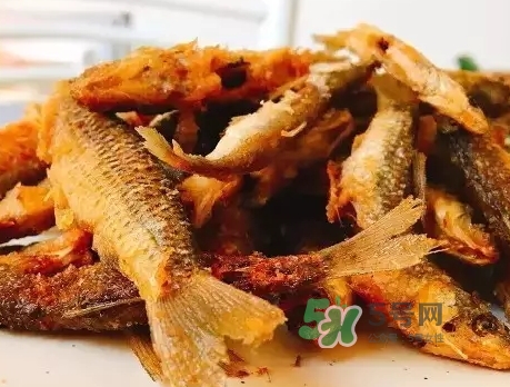 刁子魚多少錢一斤？刁子魚價格表