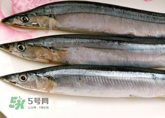 秋刀魚是不是鲅魚？秋刀魚和鲅魚的區(qū)別