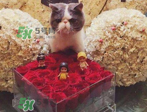 七夕怎么曬禮物_七夕曬禮物圖片_曬男朋友七夕送禮物說(shuō)說(shuō) 七夕怎么曬禮物_七夕曬禮物圖片_曬男朋友七夕送禮物說(shuō)說(shuō)