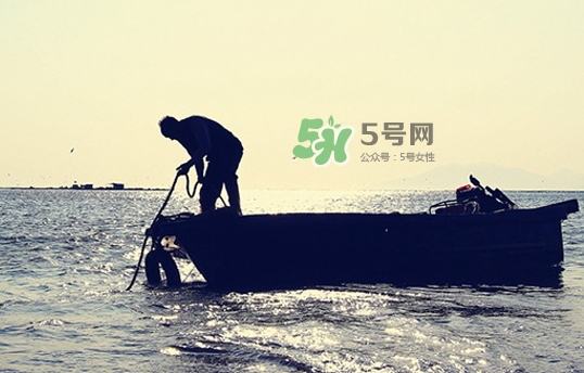 剝皮魚孕婦可以吃嗎？懷孕可以吃剝皮魚嗎？