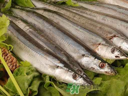 秋刀魚(yú)為什么那么便宜？秋刀魚(yú)為什么叫秋刀魚(yú)
