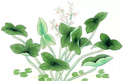 一個短信幫學(xué)員挽回妹紙 學(xué)長一對一指導(dǎo)案例