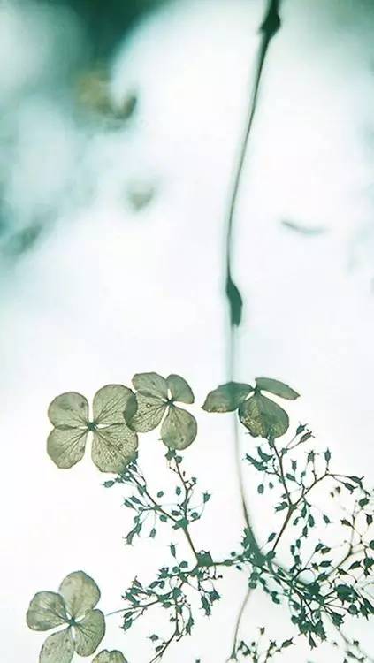 這世上，只有一種男人不會出軌