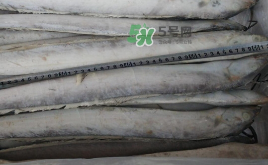 秋刀魚怎么殺？秋刀魚如何清洗