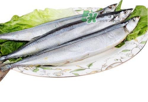 秋刀魚是海魚嗎？秋刀魚是淡水魚還是海魚