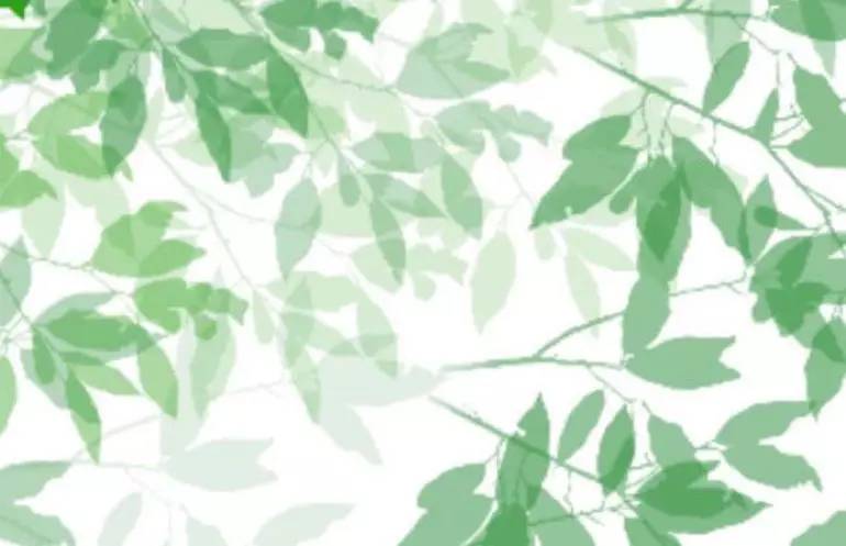 這世上，只有一種男人不會出軌