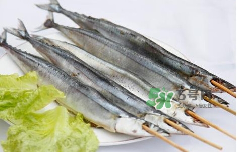 秋刀魚是海魚嗎？秋刀魚是淡水魚還是海魚