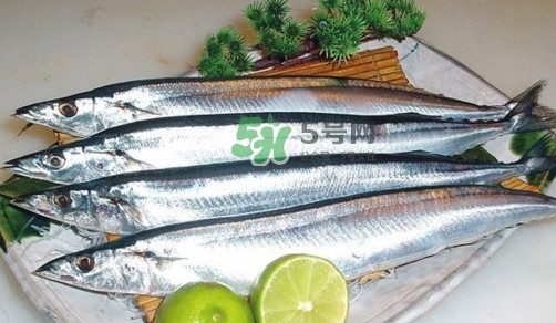 秋刀魚是刀魚嗎？秋刀魚和刀魚的區(qū)別