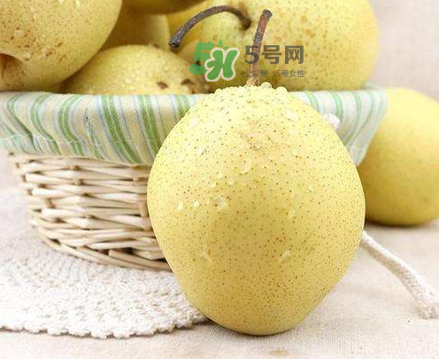 雪花梨什么時候成熟？雪花梨幾月份成熟？