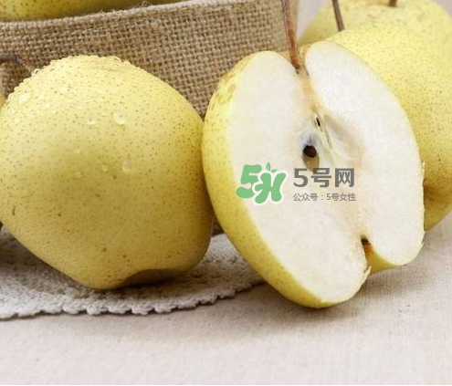 雪花梨什么時候成熟？雪花梨幾月份成熟？