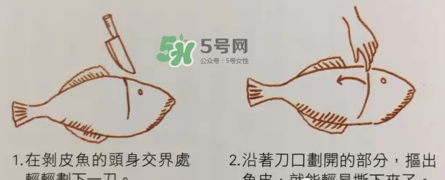 剝皮魚為什么要剝皮？剝皮魚的皮有毒嗎？