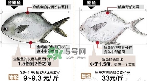 金鯧魚(yú)是海魚(yú)嗎？金鯧魚(yú)的刺多嗎？