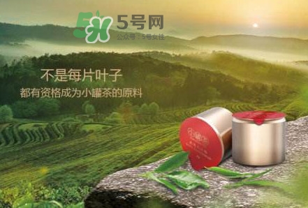 小罐茶是什么茶？小罐茶是哪八種茶？