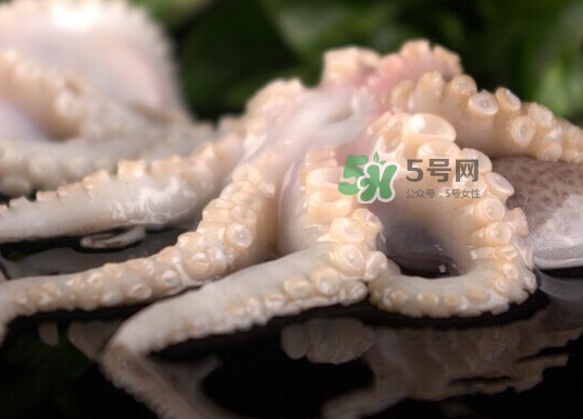 章魚有幾只腳？章魚有幾個爪子