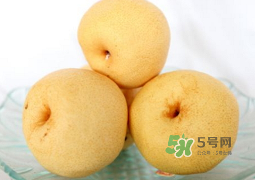 貢梨是雪梨嗎？貢梨和雪梨的區(qū)別