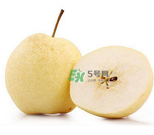 貢梨是雪梨嗎？貢梨和雪梨的區(qū)別