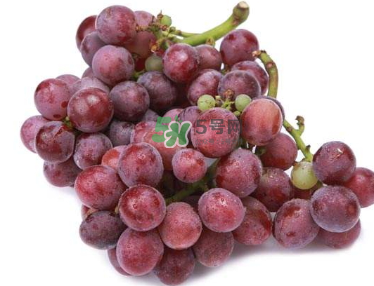 心形葡萄什么品種？心形葡萄怎么種？