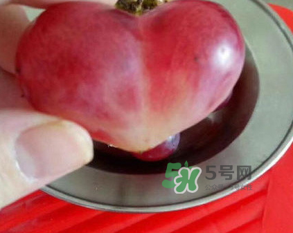 心形葡萄什么品種？心形葡萄怎么種？