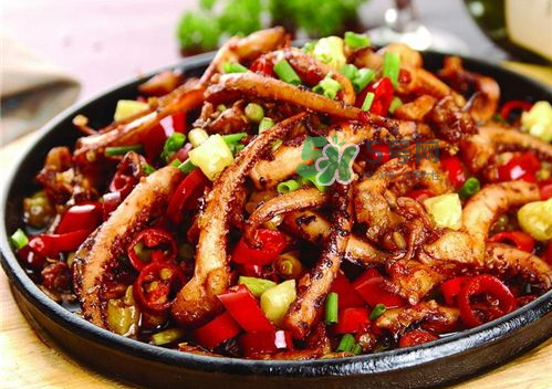 魷魚(yú)多少錢(qián)一斤市場(chǎng)價(jià)2022 魷魚(yú)的營(yíng)養(yǎng)價(jià)值和功效 魷魚(yú)多少錢(qián)一斤市場(chǎng)價(jià)2022 魷魚(yú)的營(yíng)養(yǎng)價(jià)值和功效