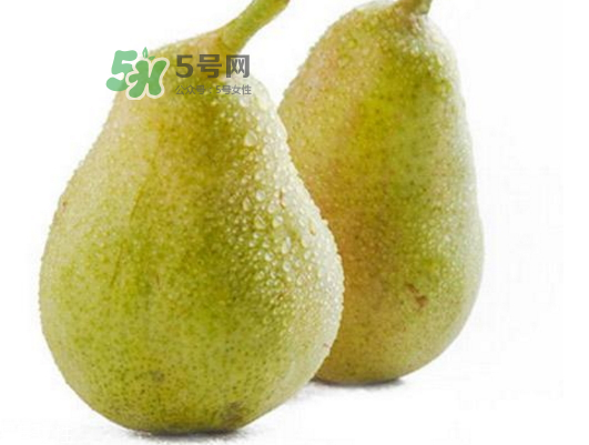 巴梨的營養(yǎng)價值 巴梨的功效和作用 巴梨的營養(yǎng)價值 巴梨的功效和作用