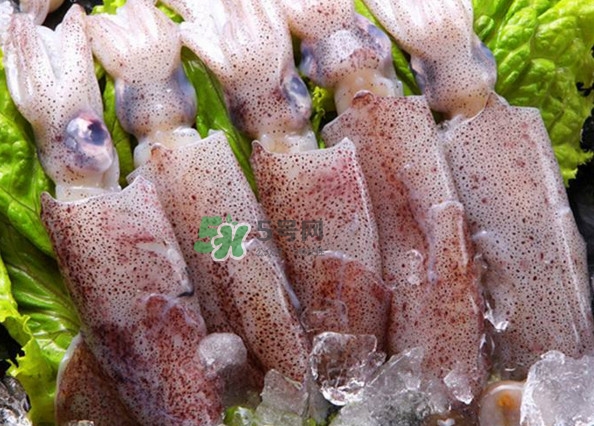 筆管魚怎么清洗？筆管魚怎么處理