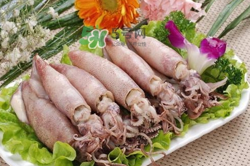 筆管魚怎么做好吃？筆管魚有什么營養(yǎng)