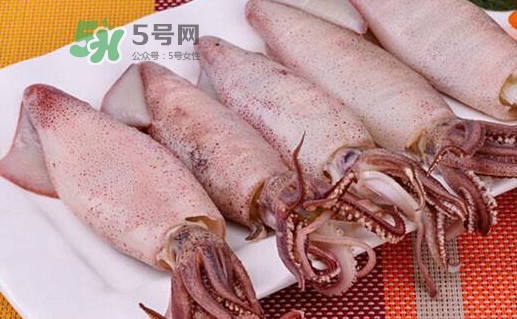 海兔子是小魷魚嗎？海兔子和魷魚的區(qū)別