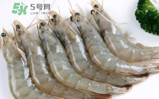 厄瓜多爾蝦是海蝦嗎？厄瓜多爾蝦好吃嗎？