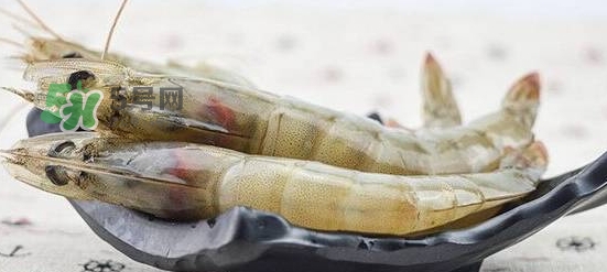 厄瓜多爾蝦是海蝦嗎？厄瓜多爾蝦好吃嗎？