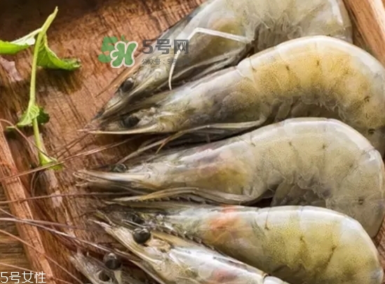 厄瓜多爾蝦的儲存方法 厄瓜多爾蝦可以放冰箱嗎 厄瓜多爾蝦的儲存方法 厄瓜多爾蝦可以放冰箱嗎