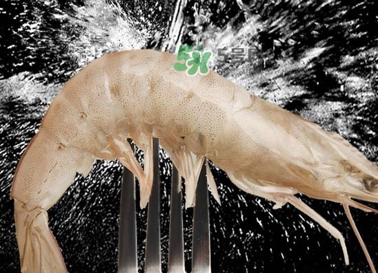 厄瓜多爾白蝦是咸的嗎？厄瓜多爾白蝦怎么很咸